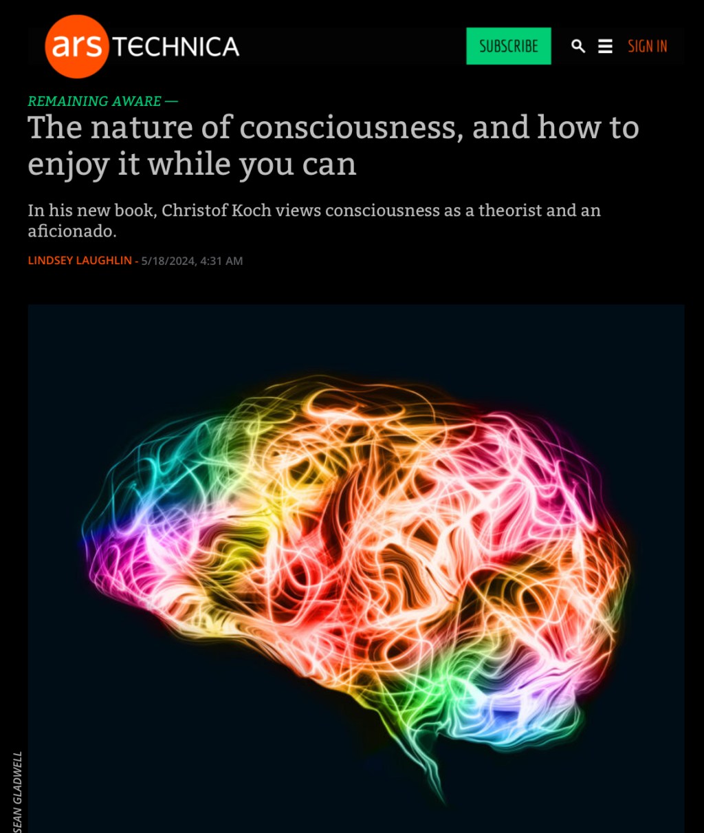 The Nature of Consciousness and How to Enjoy it While You&nbsp;Can